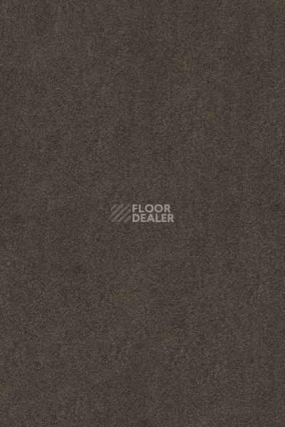 Ковролин AW Masquerade Kai 44 фото 1 | FLOORDEALER